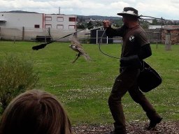 500 Treffen 2017 Tag2